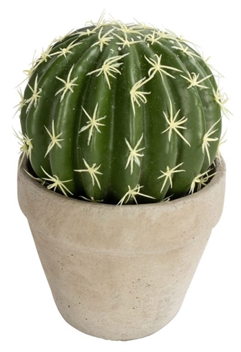 Kunstcactus - hoogte 20 cm - Bolvormige en decoratieve cactus - Kunstkamerplant