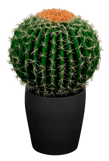 Kunstcactus - Hoogte 50 cm - Bolvormige en decoratieve cactus - Kunstkamerplant