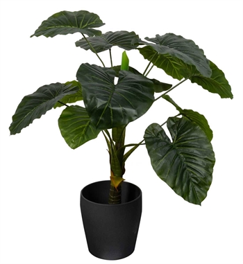 Kunst Alocasia Odora Plante - Hoogte 90 cm - Eén stam met groene bladeren - Kunst vloerplant