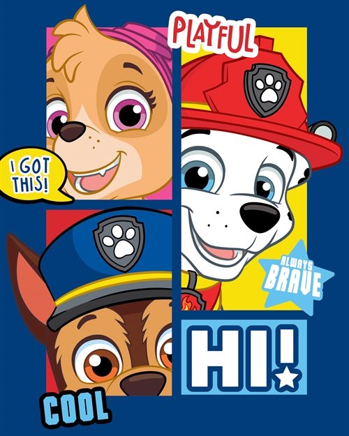 Kinderdeken - Paw Patrol en zijn puppyvriendjes - 100x140 cm - Zachte fleecedeken - Borg Living