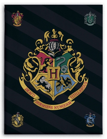 Kinderdeken - Harry Potter - 100x140 cm - Zachte en heerlijke fleecedeken - Borg Living