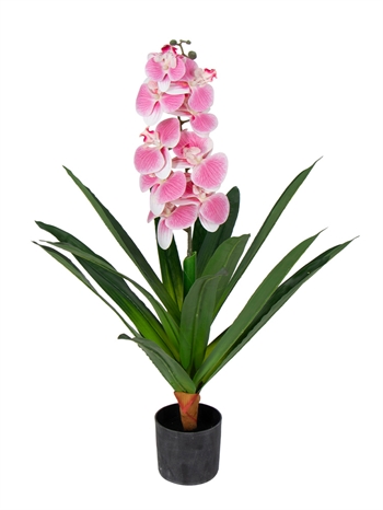 Kunstorchidee - 80 cm - Enkel vertakte roze bloemen - Kunstbloem in zwarte pot