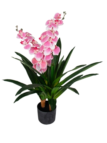 Kunstorchidee - 90 cm - 2 takken - Roze bloemen - Kunstbloem in een zwarte pot