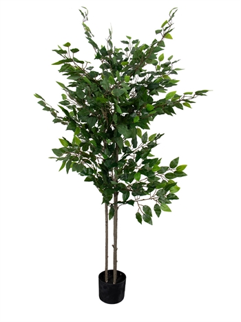 Kunst Ficus - Hoogte 180 cm - Dichte en volle plant - Onderhoudsvrije plant