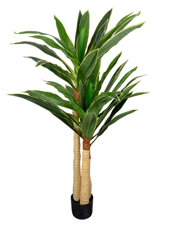 Kunst Dracena Plant - Hoogte 170 cm - Mooie lange bladeren - Kunstplant voor op de vloer