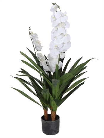 Kunstorchidee - 90 cm - 2-takt - Witte bloemen - Kunstbloem in zwarte pot