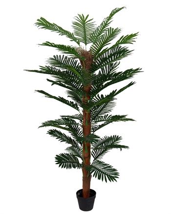 Tropische palm - 180 cm hoog - Kunstpalm met mosstok in zwarte pot -