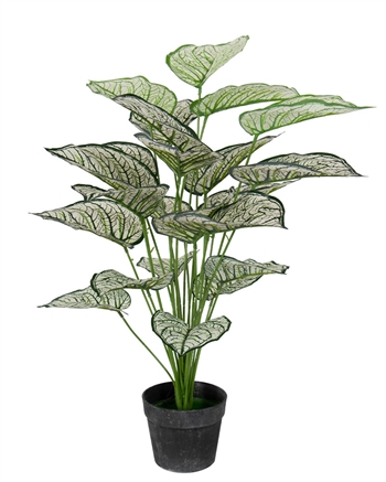 Kunstplant 80 cm - Prachtige Calathea met witte en groene bladeren